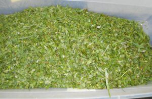 alfalfa-grass subsample
