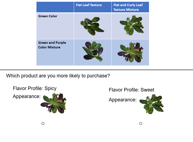Top: Salad mix images shown in the conjoint analysis study. Bottom: Images were combined with flavor descriptions to create product concepts.