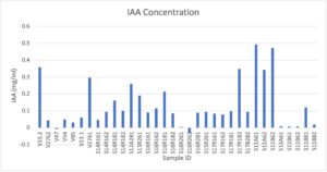 IAA production in mg/ml for positive saline tolerant rhizobia species