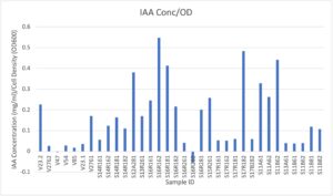 IAA production in OD for positive saline tolerant rhizobia species