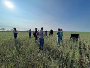 Discussing cover crop grazing effects on water inflation into soil.