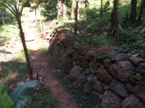 Terraced hillside farm