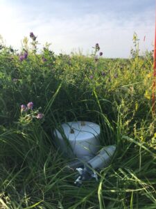 Static chamber for GHG flux measurements installed in grass-alfalfa pasture