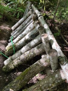 A workshop attendee took the knowledge a ran with it! They inoculated many logs and implemented a watering system.