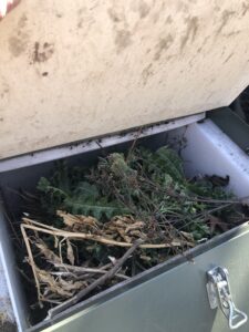 Composting demo container in the garden