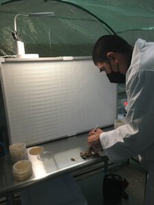 Ed learns how to tissue culture with a mushroom he collected.