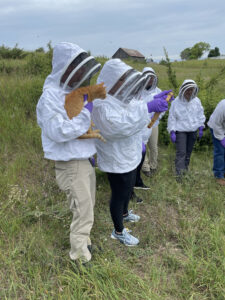 Beekeepers holding orange cat