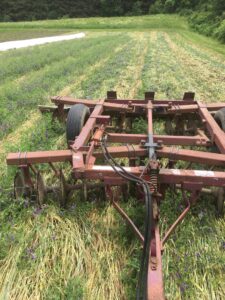 Discing to terminate hairy vetch