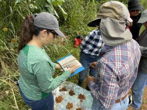 Determining soil color in the field