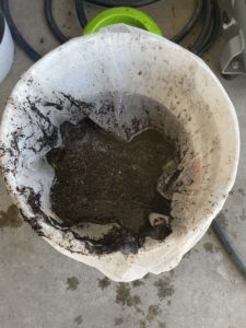 Compost in paint filter