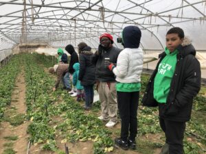 youth in high tunnel 