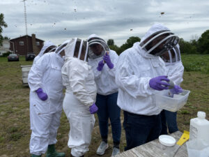 Beekeepers in a group performing a test