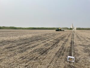 Planting On-farm Trial plot
