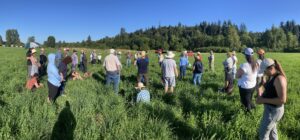 People in a field