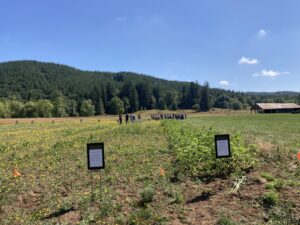 People in a field