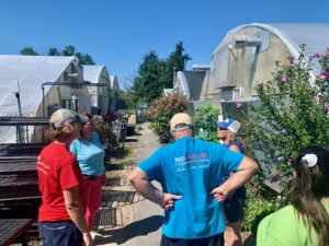 Red Wiggler employees visit CapeAbilities Farm.  4 people on a farm tour are talking and standing in front of 4 greenhouses with annual plants.