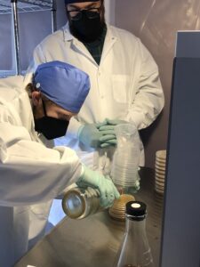 Interns learning lab techniques