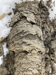 Clay subsoil