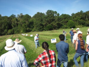 Field day at Mr. Mack Glass farm demonstrating the strip-planting of perennial peanut to producers