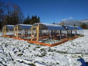 Nine pasture houses in a grid layout at Foothills Farm