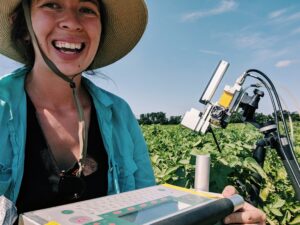 Researcher measures leaf level photosynthesis on a potato plant