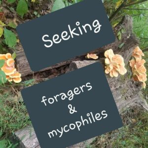 sign text: "Seeking foragers & mycophiles"