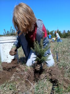 Kids planting trees