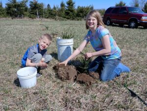 Planting Trees