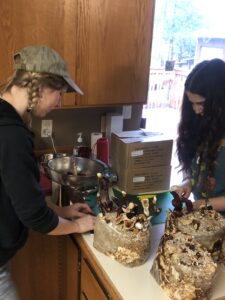 Processing reishi and teaching an intern to make concentrated extract powder for reishi hot cocoa blend