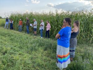 Oneida corn growers stand in a cornfield