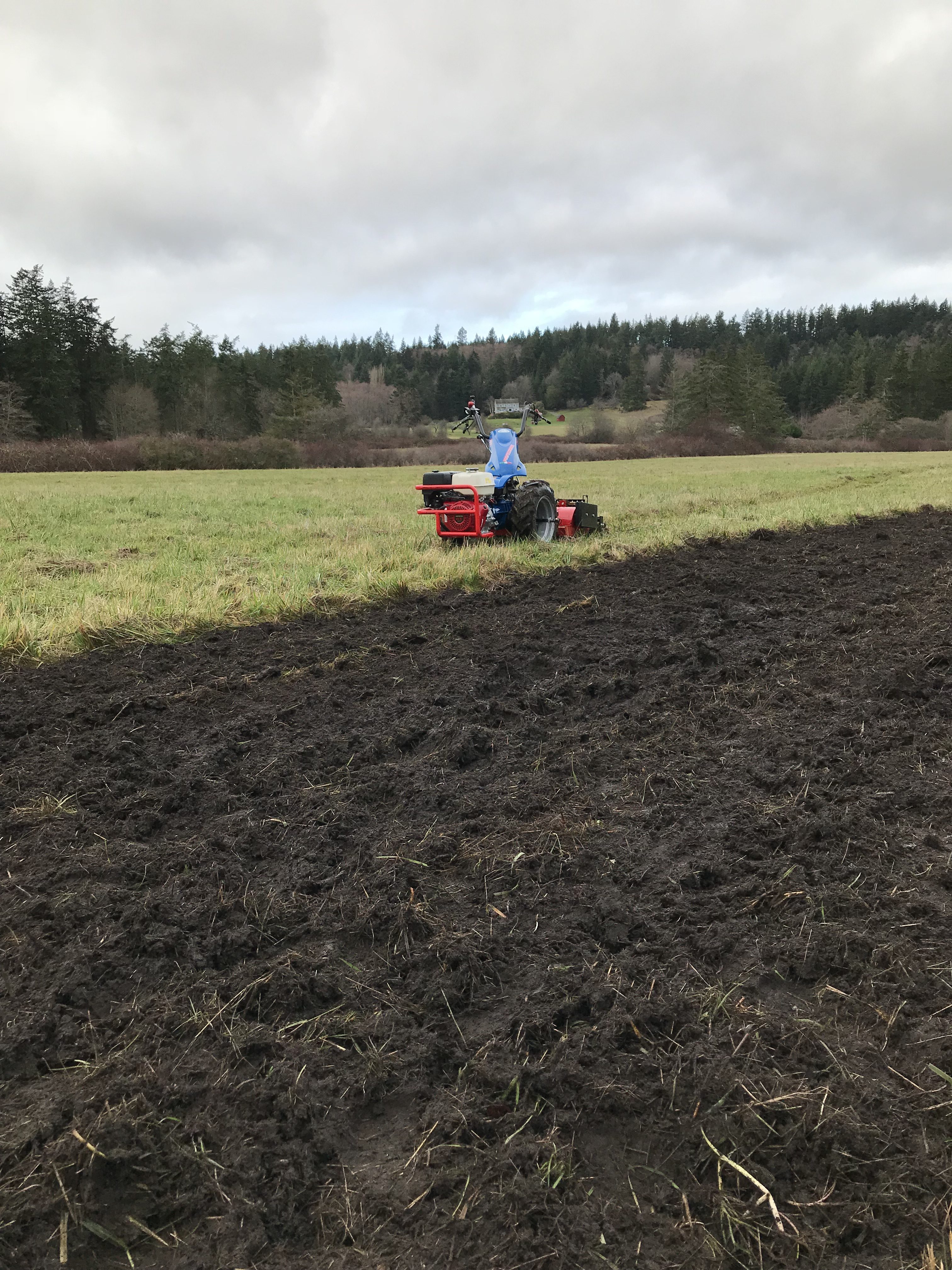 Walk behind tractor and stone burying plow