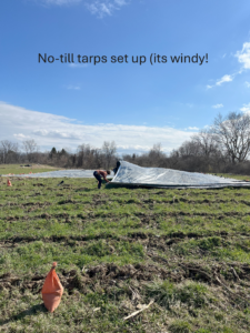 No till tarping