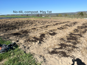 no till composted beds
