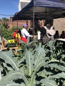 Farmer Participant Charlene Messer conducts a workshop on farm to table local entrepreneurship cooking with herbs and kale from her demonstration bed while farmer participant Keahi Butler-Williams assists the workshop.