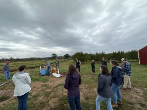 participants observe young strawberry plants in the fall