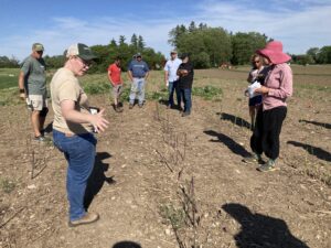 A group of farmers is standing in an asparagus field. Everyone is looking at  a plot of purple asparagus that is ready to be harvested. A woman in the foreground is talking about the asparagus. 