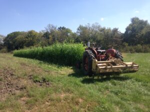 Flail mower