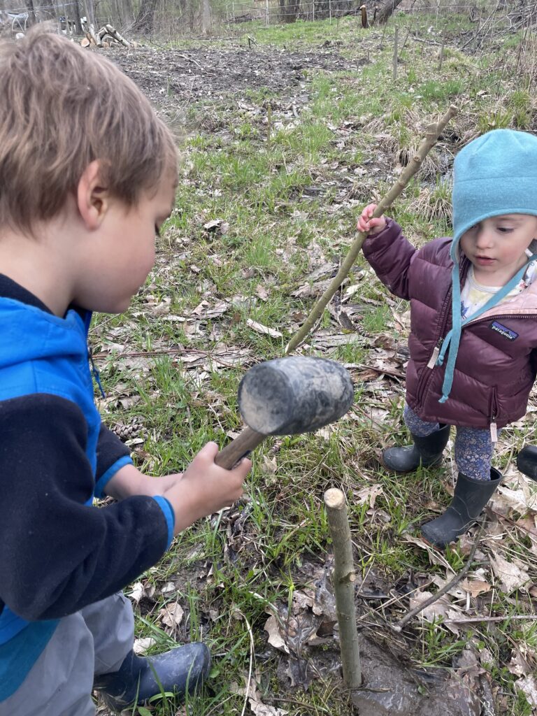 kids helping plant stakes