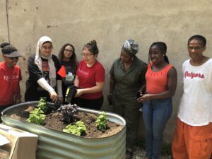 Soil Toxicity testing with Farmer Participants