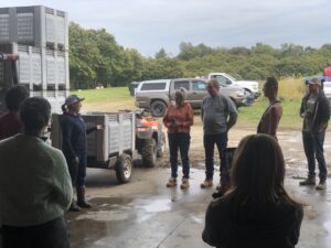 Amy Miller demonstrates how chestnuts are cleaned and processed.