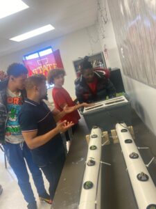 Students at Mark Twain Alternative High School adding plants to the hydroponic units