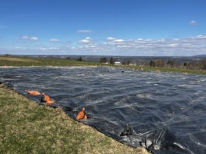 No-till tarping 2024, to terminate winter cover crop.