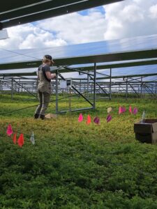 Research technician setting up PAR sensors in the array. 