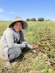 Mallina Xiong, HAFA grower experimenting with day neutral strawberry production at the HAFA farm 