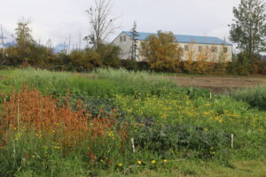 Rebarchek plots before crimping