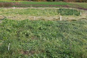 Rebarchek plots after crimping