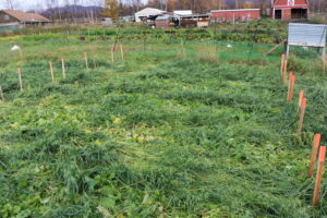 Sun Circle plots after crimping