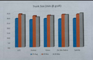 Trunk Size