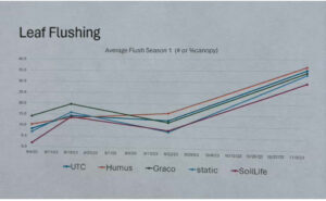 Leaf flushing