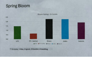 Spring Bloom rating